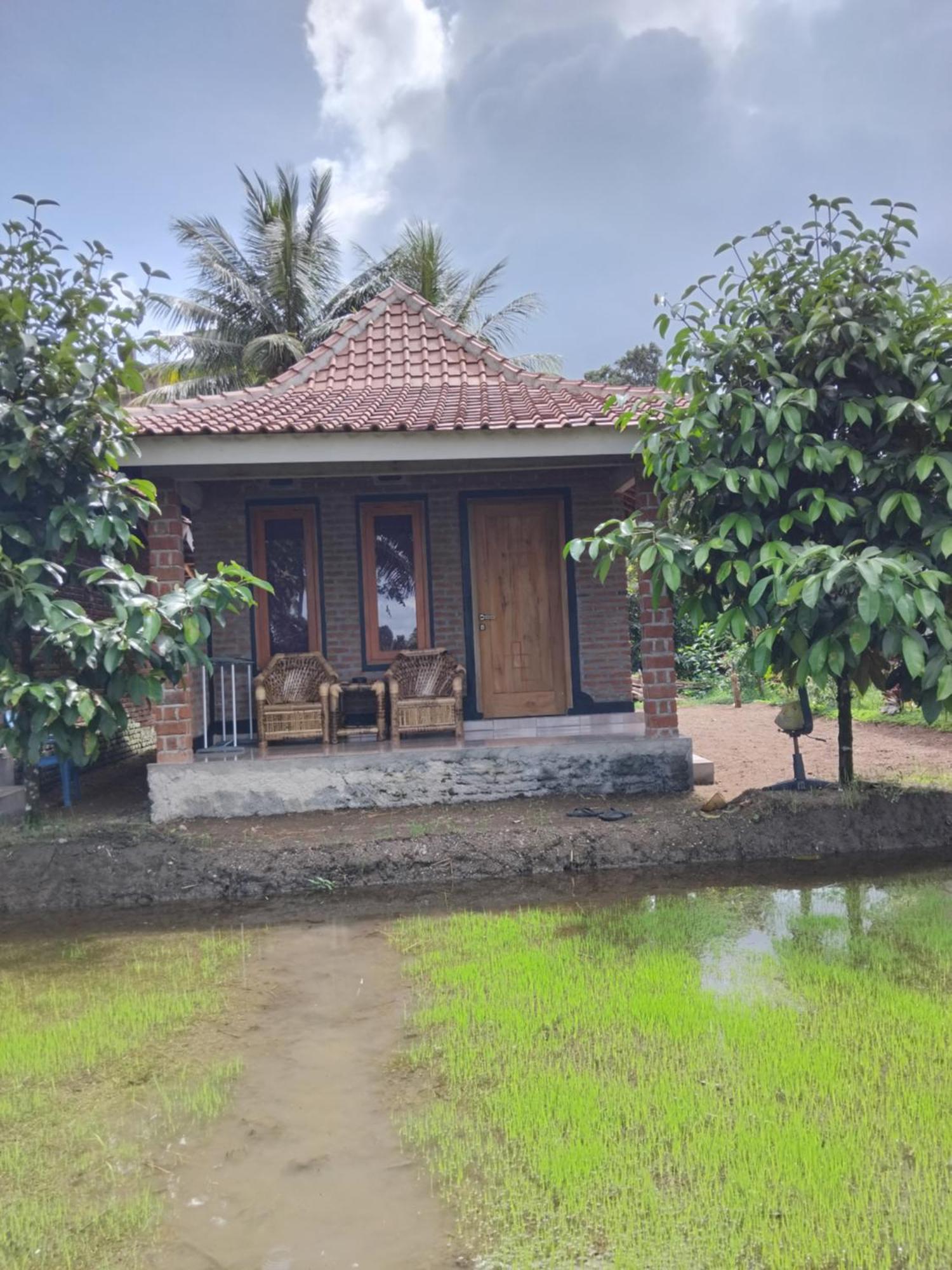 Tereng Wilis Bungalows Tetebatu Ngoại thất bức ảnh