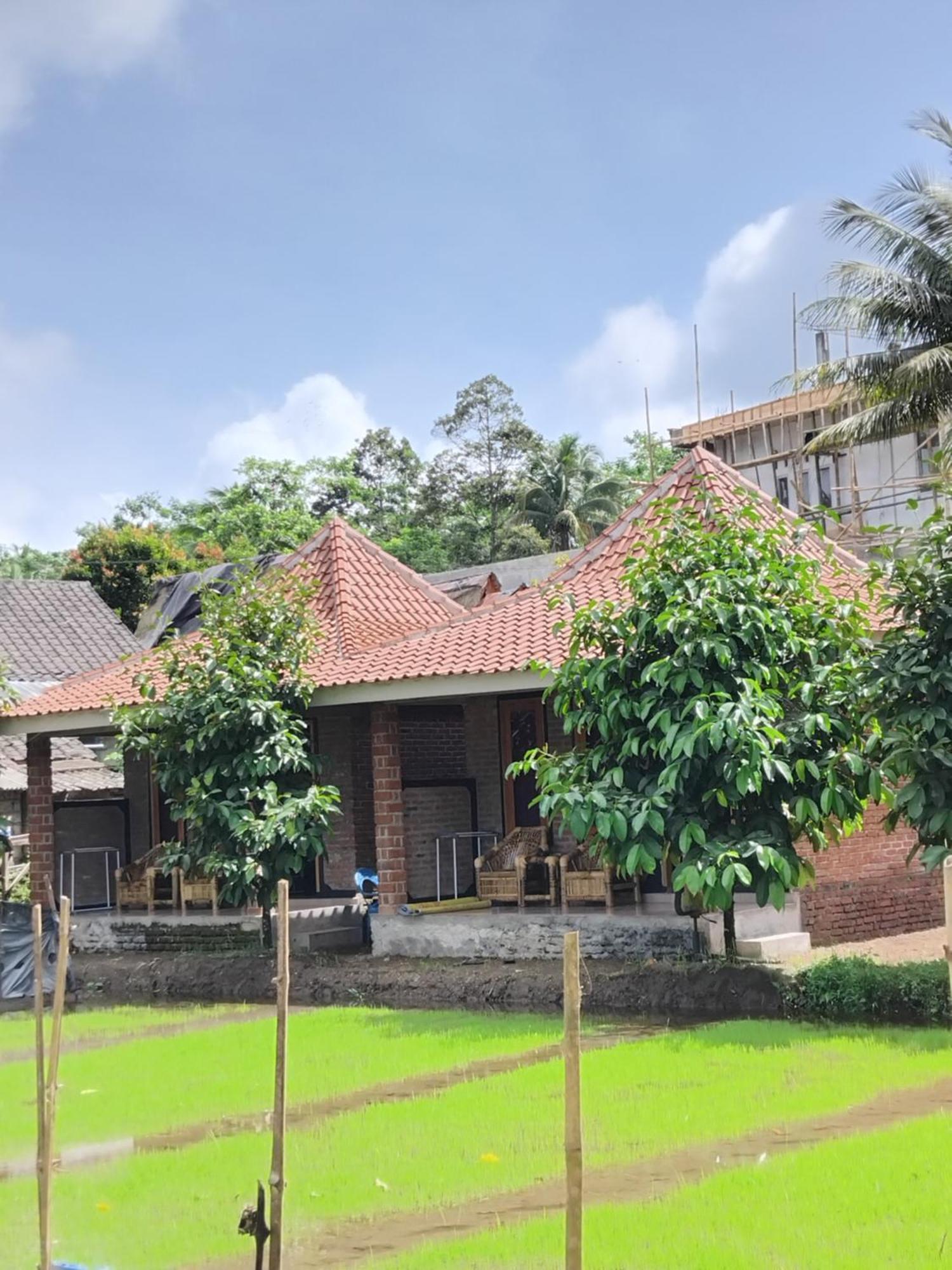 Tereng Wilis Bungalows Tetebatu Phòng bức ảnh