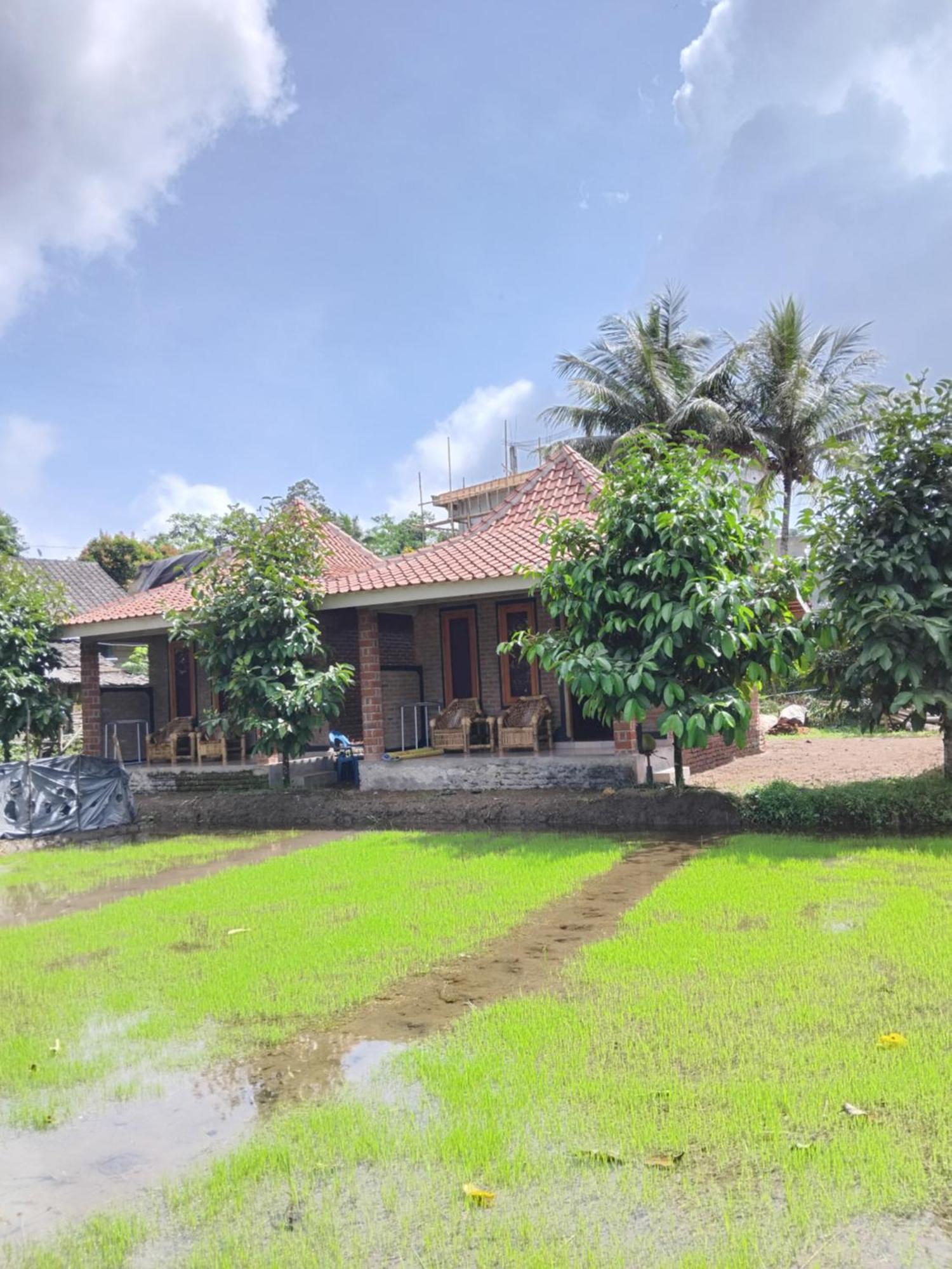 Tereng Wilis Bungalows Tetebatu Ngoại thất bức ảnh