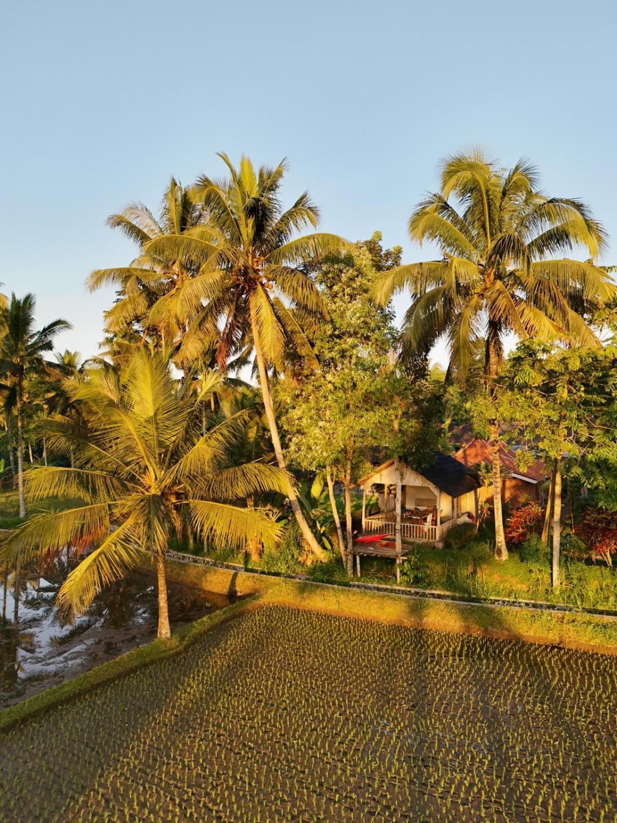 Tereng Wilis Bungalows Tetebatu Ngoại thất bức ảnh