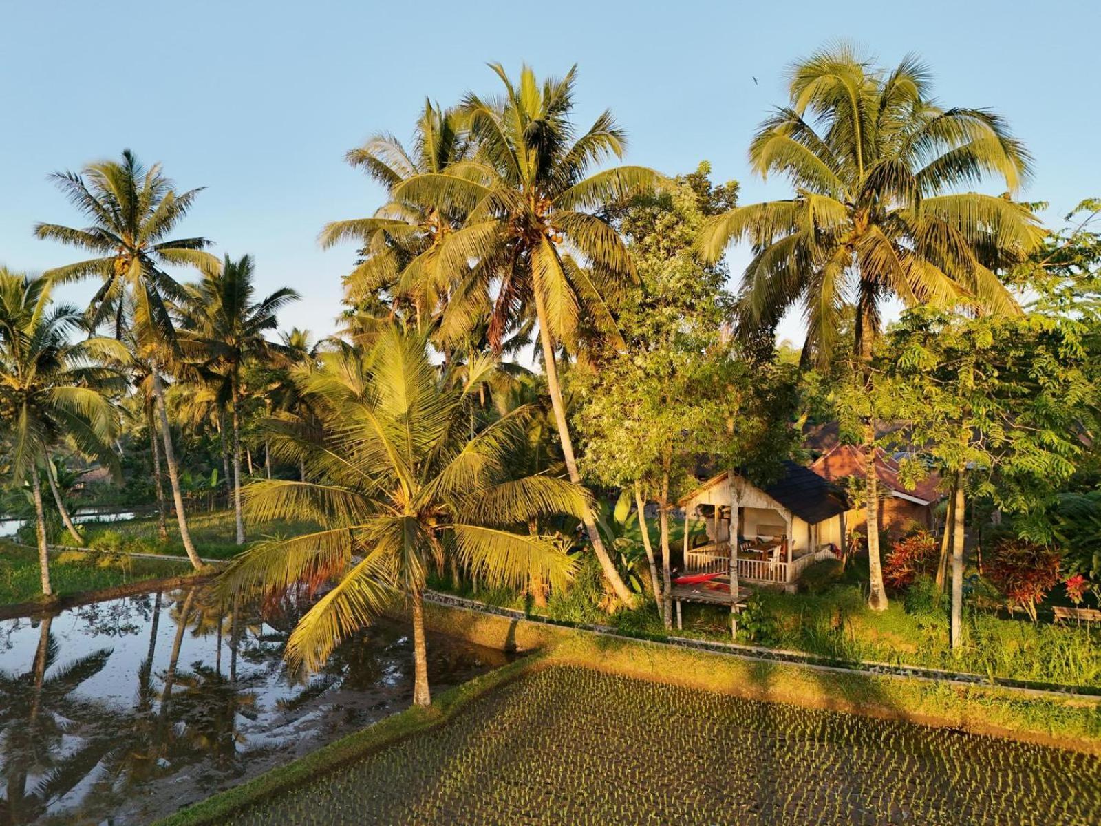 Tereng Wilis Bungalows Tetebatu Ngoại thất bức ảnh