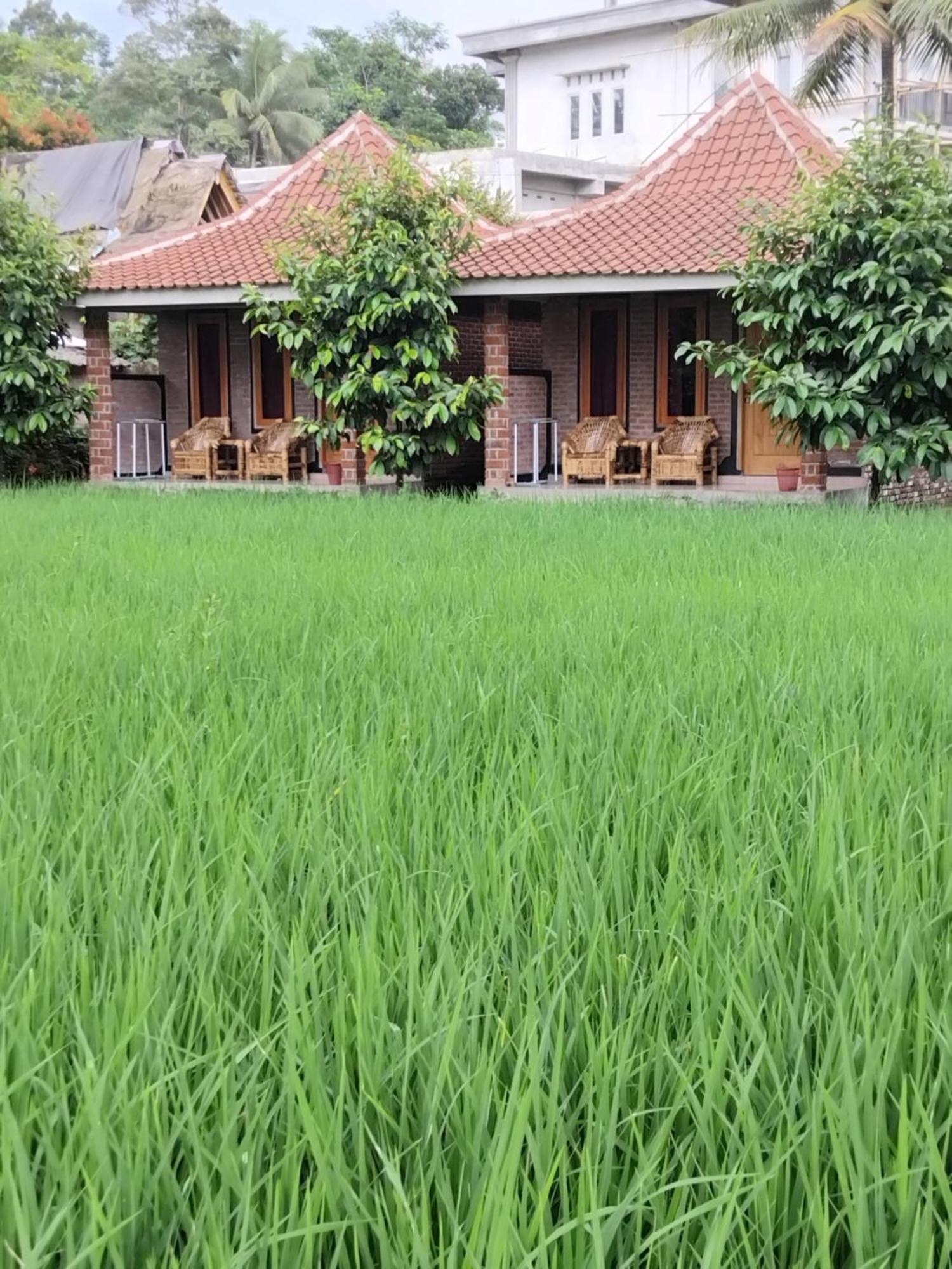 Tereng Wilis Bungalows Tetebatu Ngoại thất bức ảnh