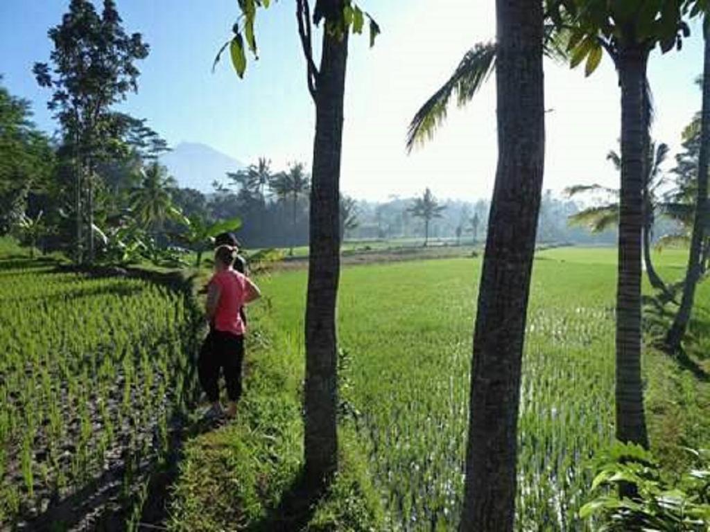 Tereng Wilis Bungalows Tetebatu Ngoại thất bức ảnh