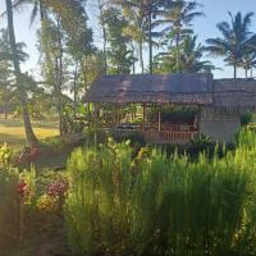 Tereng Wilis Bungalows Tetebatu Ngoại thất bức ảnh