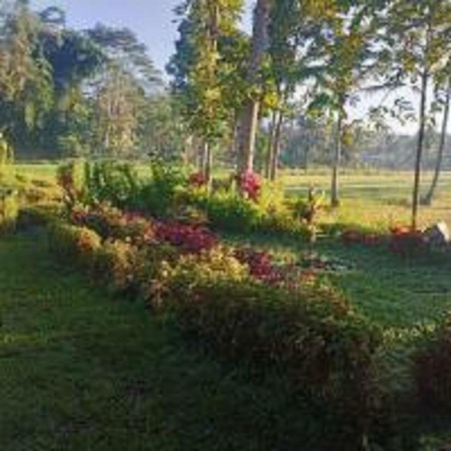 Tereng Wilis Bungalows Tetebatu Ngoại thất bức ảnh