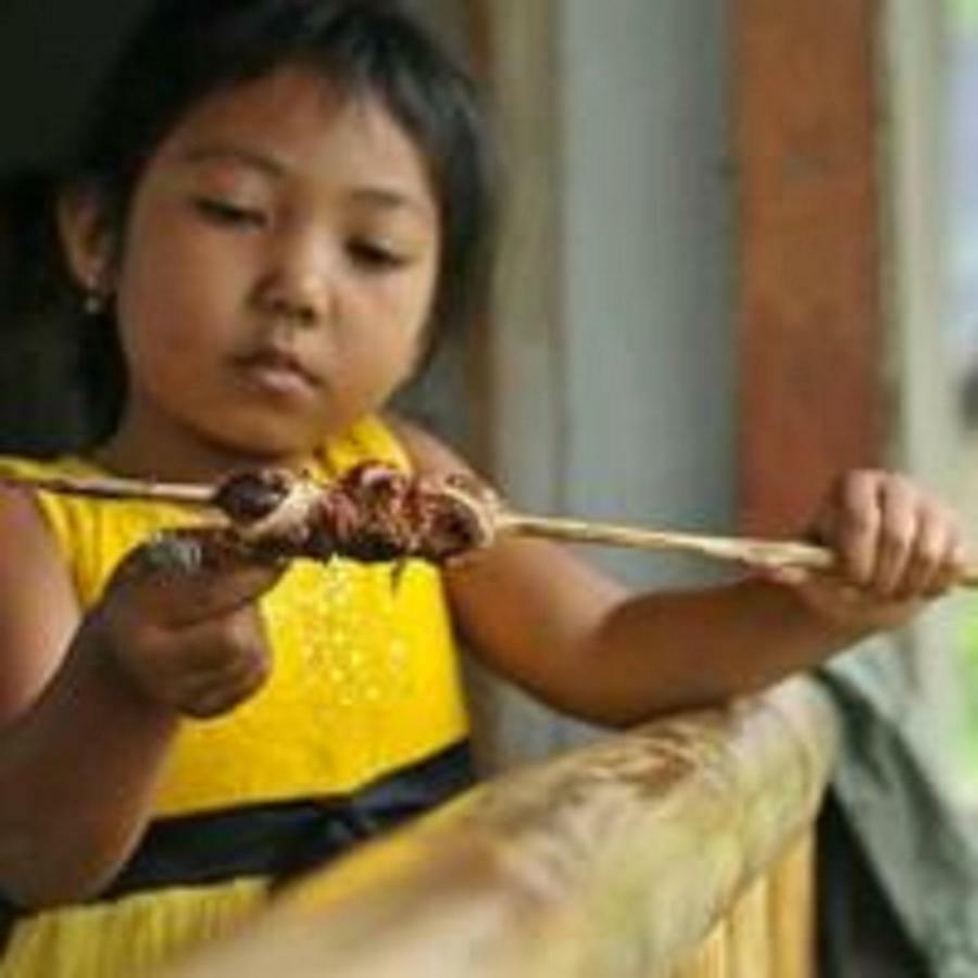 Tereng Wilis Bungalows Tetebatu Ngoại thất bức ảnh